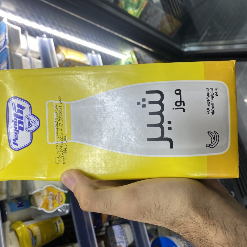 شیری پگا