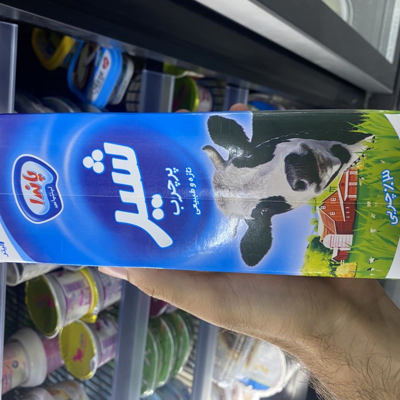 شیری پانەر
