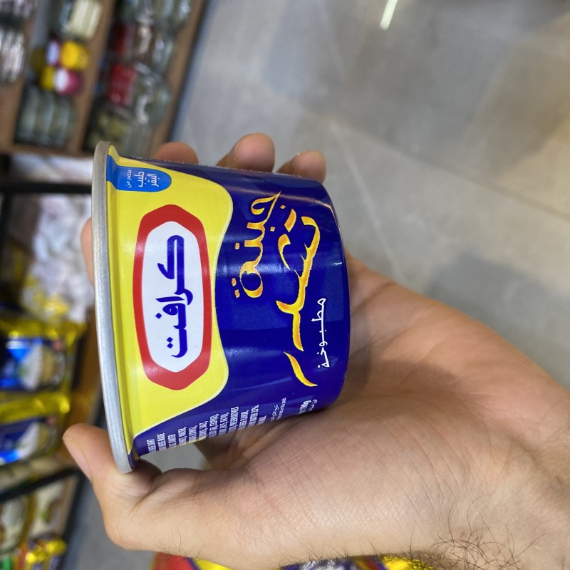 پەنیری کرافت فۆتۆ